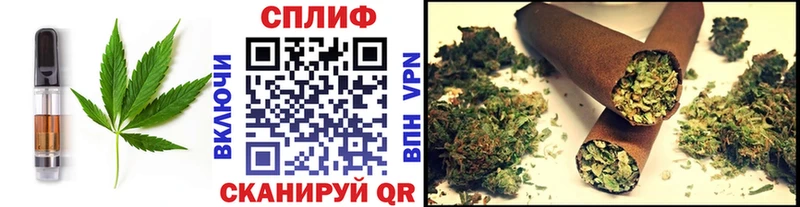 shop как зайти  Купино  Еда ТГК марихуана  сколько стоит 