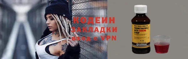 СК Няндома