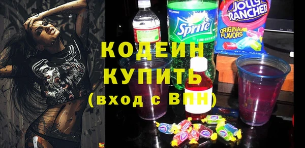 СК Няндома
