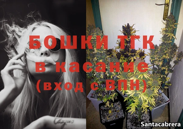стафф Осинники