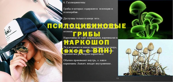 СК Няндома