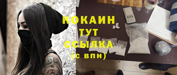 СК Няндома