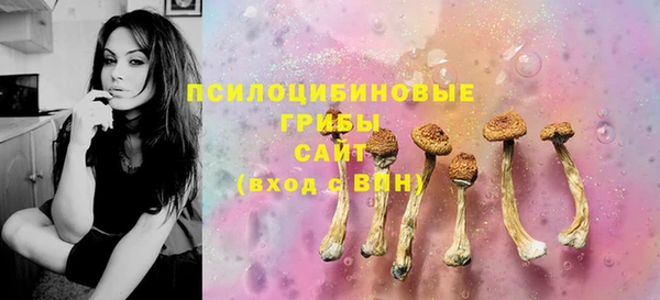 стафф Осинники
