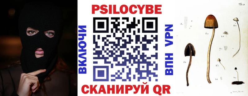 Псилоцибиновые грибы Cubensis  Купино 