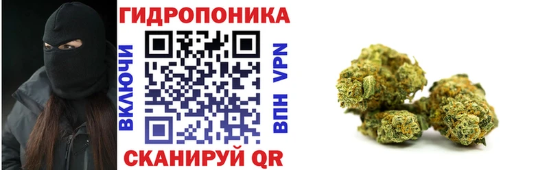 Шишки марихуана марихуана  Купино 
